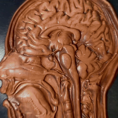 Tangible Neuroanatomy